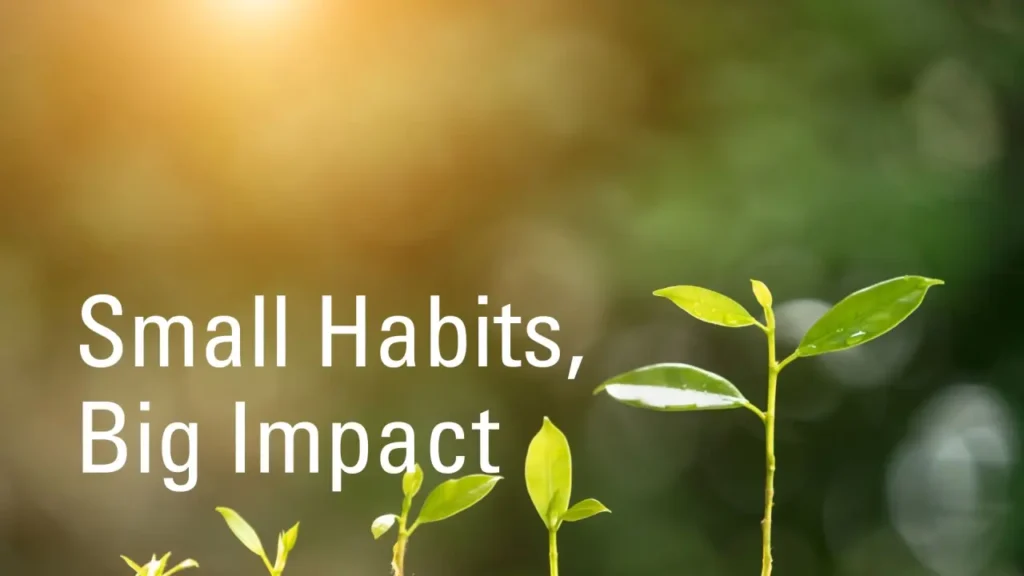 Mali Koraci Velika Promena