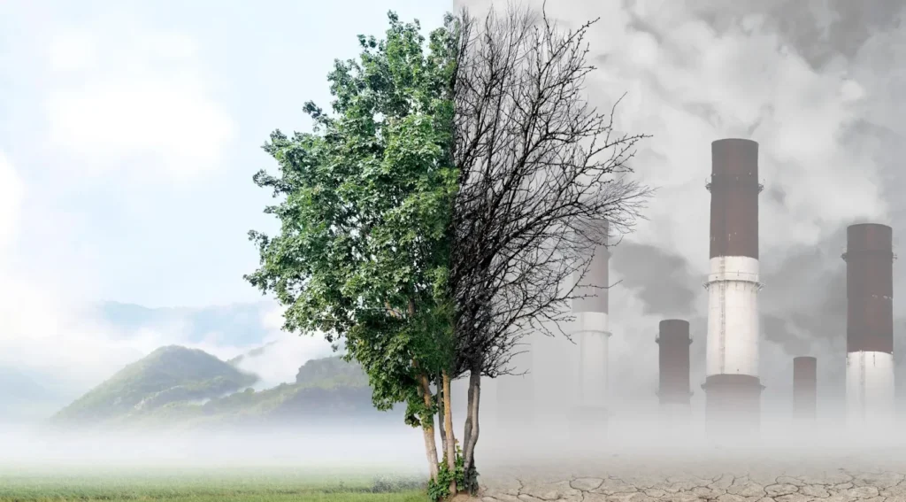 Kvalitet vazduha i zdravlje: izazovi i rešenja