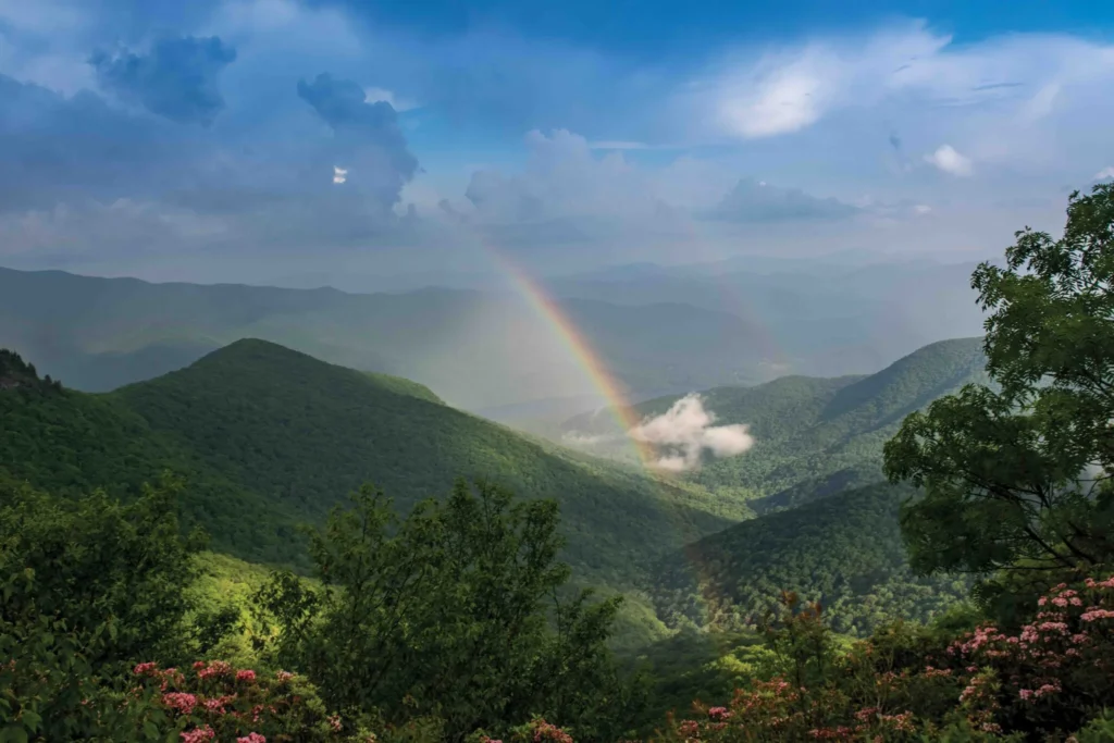 Put ka zdravlju kroz prirodu